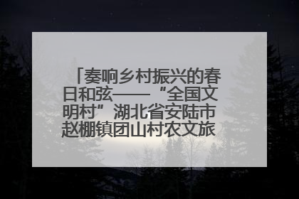 奏响乡村振兴的春日和弦——“全国文明村”湖北省安陆市赵棚镇团山村农文旅融合发展见闻