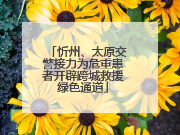 忻州、太原交警接力为危重患者开辟跨城救援绿色通道