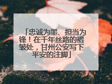 忠诚为墨、担当为锋！在千年丝路的褶皱处，甘州公安写下平安的注脚