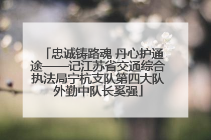 忠诚铸路魂 丹心护通途——记江苏省交通综合执法局宁杭支队第四大队外勤中队长奚强