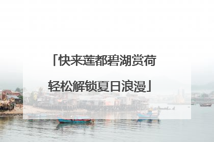 快来莲都碧湖赏荷 轻松解锁夏日浪漫