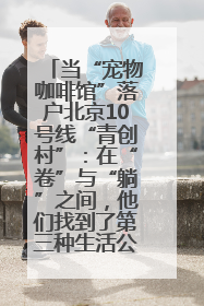 当“宠物咖啡馆”落户北京10号线“青创村”：在“卷”与“躺”之间，他们找到了第三种生活公式