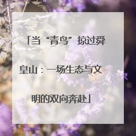 当“青鸟”掠过舜皇山：一场生态与文明的双向奔赴