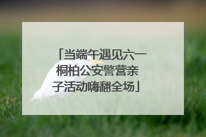 当端午遇见六一 桐柏公安警营亲子活动嗨翻全场