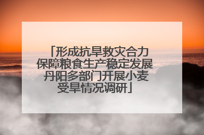 形成抗旱救灾合力 保障粮食生产稳定发展 丹阳多部门开展小麦受旱情况调研