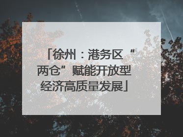 徐州：港务区“两仓”赋能开放型经济高质量发展