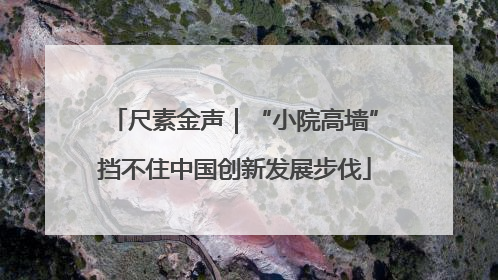 尺素金声｜“小院高墙”挡不住中国创新发展步伐