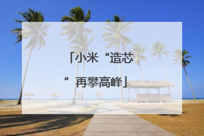 小米“造芯”再攀高峰