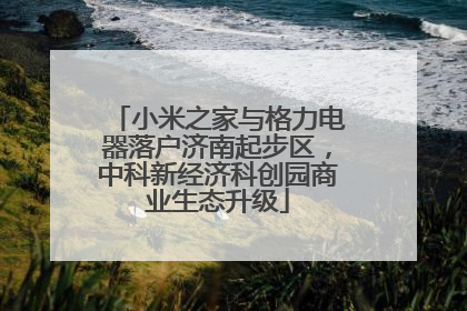 小米之家与格力电器落户济南起步区，中科新经济科创园商业生态升级