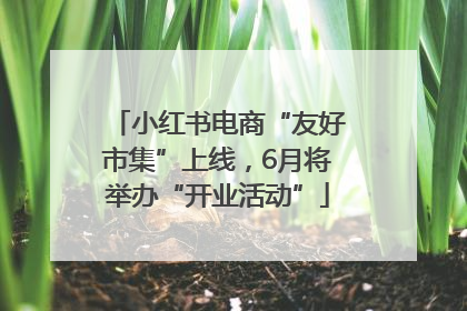 小红书电商“友好市集”上线，6月将举办“开业活动”