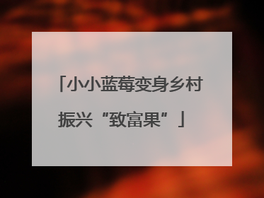小小蓝莓变身乡村振兴“致富果”