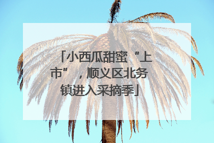 小西瓜甜蜜“上市”，顺义区北务镇进入采摘季