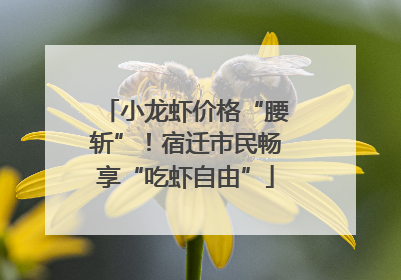小龙虾价格“腰斩”！宿迁市民畅享“吃虾自由”