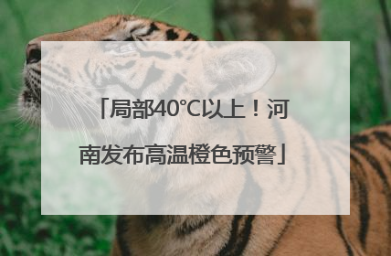 局部40℃以上！河南发布高温橙色预警