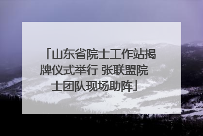 山东省院士工作站揭牌仪式举行 张联盟院士团队现场助阵