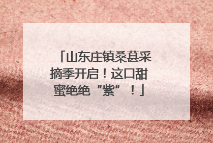 山东庄镇桑葚采摘季开启！这口甜蜜绝绝“紫”！