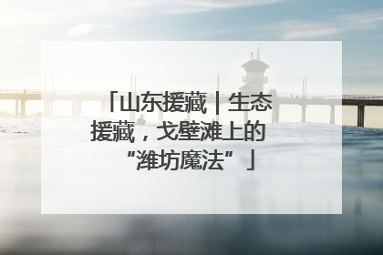 山东援藏｜生态援藏，戈壁滩上的“潍坊魔法”