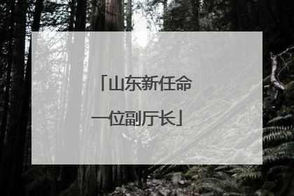 山东新任命一位副厅长
