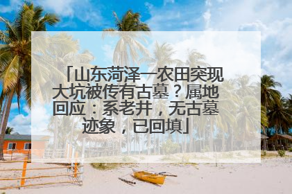 山东菏泽一农田突现大坑被传有古墓？属地回应：系老井，无古墓迹象，已回填