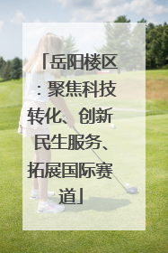 岳阳楼区：聚焦科技转化、创新民生服务、拓展国际赛道