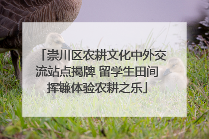 崇川区农耕文化中外交流站点揭牌 留学生田间挥镰体验农耕之乐