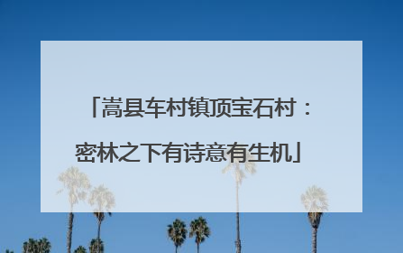 嵩县车村镇顶宝石村：密林之下有诗意有生机