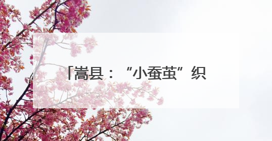 嵩县：“小蚕茧”织就助农增收新画卷