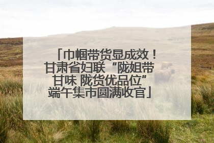 巾帼带货显成效！甘肃省妇联“陇姐带甘味 陇货优品位”端午集市圆满收官