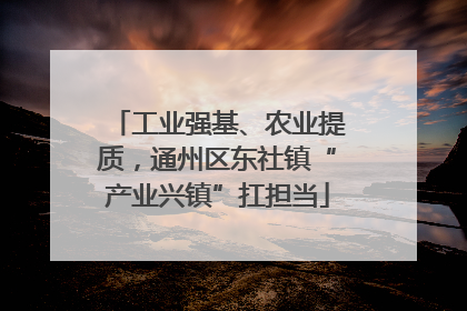 工业强基、农业提质，通州区东社镇“产业兴镇”扛担当