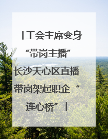 工会主席变身“带岗主播” 长沙天心区直播带岗架起职企“连心桥”