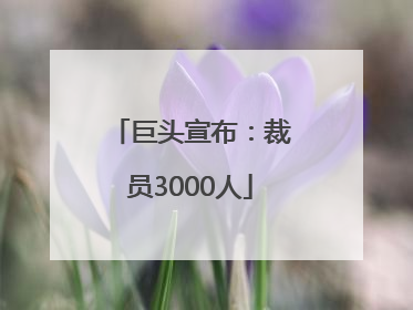 巨头宣布：裁员3000人