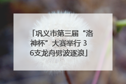 巩义市第三届“洛神杯”大赛举行 36支龙舟劈波逐浪
