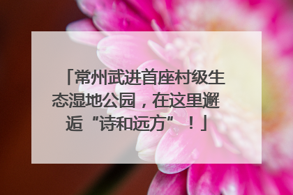 常州武进首座村级生态湿地公园，在这里邂逅“诗和远方”！