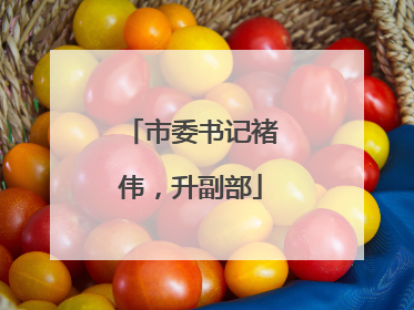 市委书记褚伟，升副部