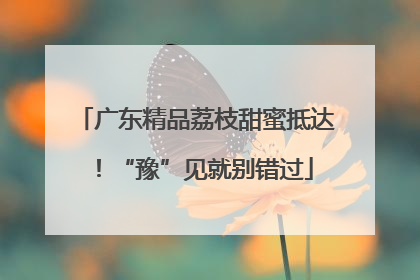 广东精品荔枝甜蜜抵达！“豫”见就别错过