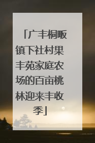 广丰桐畈镇下社村果丰苑家庭农场的百亩桃林迎来丰收季