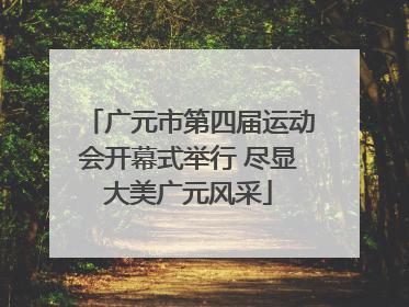 广元市第四届运动会开幕式举行 尽显大美广元风采
