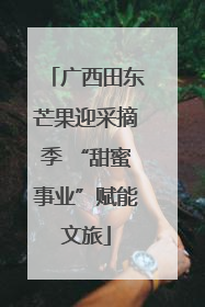 广西田东芒果迎采摘季 “甜蜜事业”赋能文旅