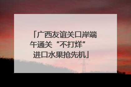 广西友谊关口岸端午通关“不打烊” 进口水果抢先机