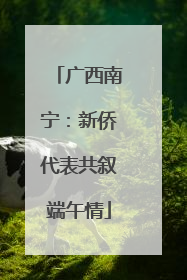 广西南宁：新侨代表共叙端午情