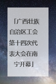 广西壮族自治区工会第十四次代表大会在南宁开幕