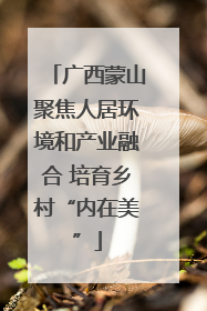 广西蒙山聚焦人居环境和产业融合 培育乡村“内在美”