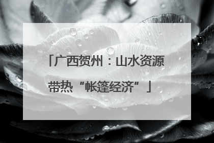 广西贺州：山水资源带热“帐篷经济”