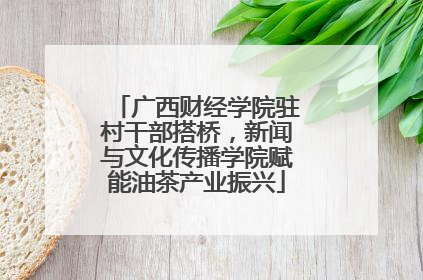 广西财经学院驻村干部搭桥，新闻与文化传播学院赋能油茶产业振兴