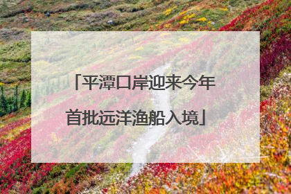 平潭口岸迎来今年首批远洋渔船入境
