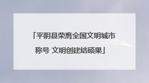 平阴县荣膺全国文明城市称号 文明创建结硕果