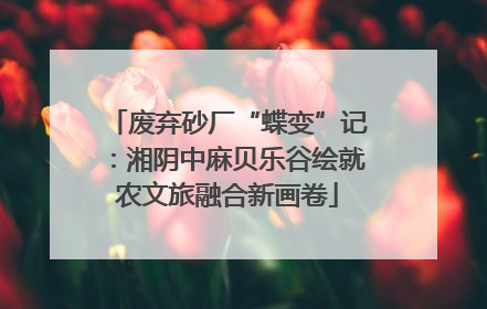 废弃砂厂“蝶变”记：湘阴中麻贝乐谷绘就农文旅融合新画卷