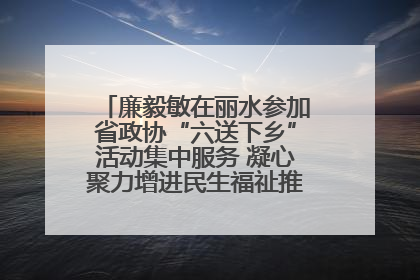 廉毅敏在丽水参加省政协“六送下乡”活动集中服务 凝心聚力增进民生福祉推进共同富裕