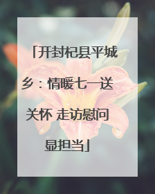开封杞县平城乡：情暖七一送关怀 走访慰问显担当