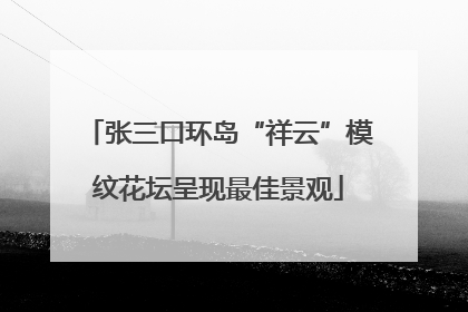 张三口环岛“祥云”模纹花坛呈现最佳景观
